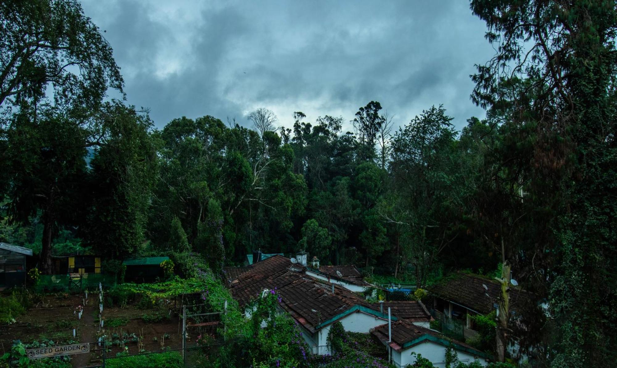 Treebo Trend Hotel Kodai Kings Park Tamilnadu - Kodaikanal Exterior foto